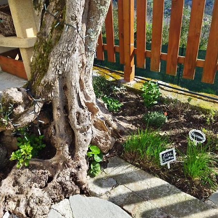Amphiorama Villa La Spezia Exteriör bild